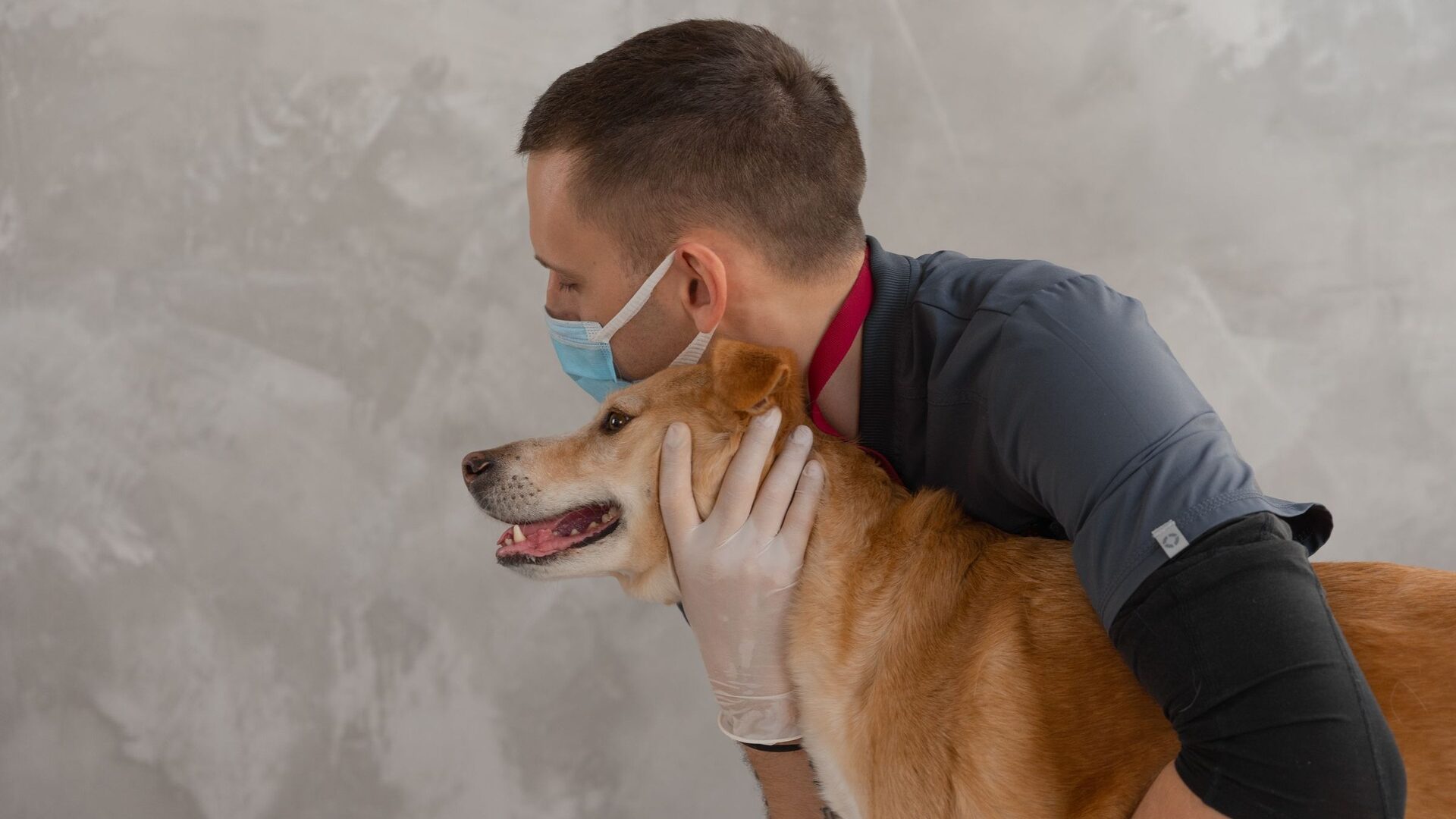 A veterinarian tenderly embracing a happy dog during a checkup